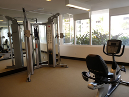 A wide variety of fitness equipment and exercise areas